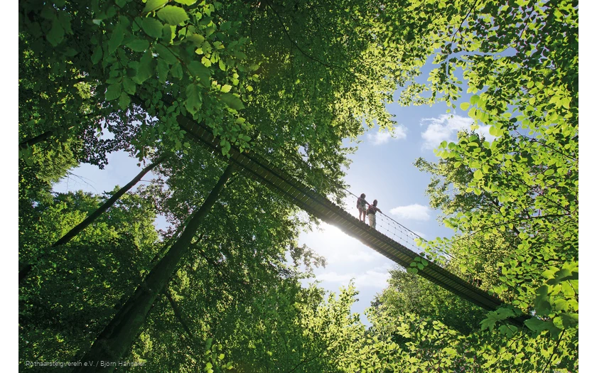 Hängebrücke am Rothaarsteig bei Kühhude