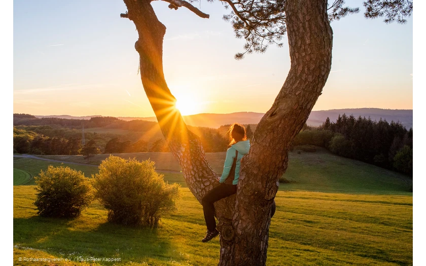 Sonnenuntergang am Rothaarsteig auf dem Kornberg