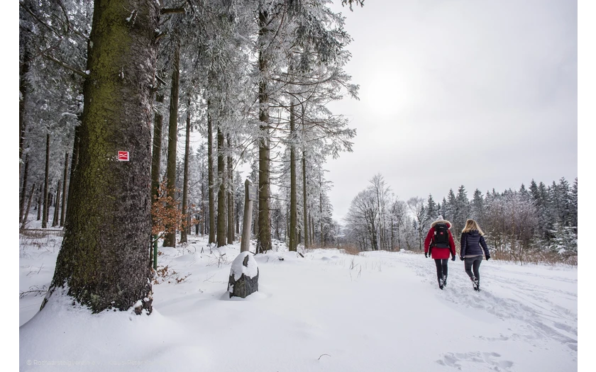 Winterwandern am Rothaarsteig