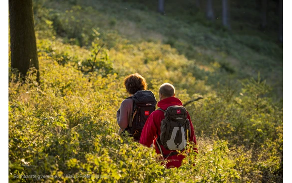 Zwei Rothaarsteig-Wanderer von hinten mit Rucksäcken