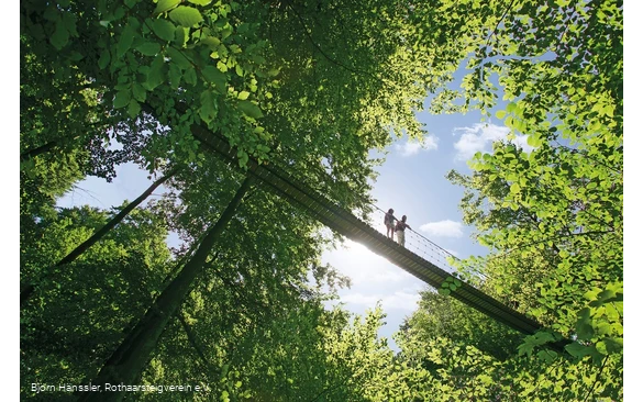 Hängebrücke am Rothaarsteig bei Kühhude