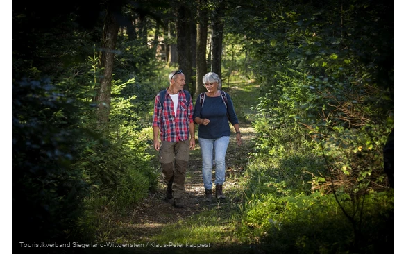 Rothaarsteig-Wanderer auf einem Pfad bei Wilgersdorf