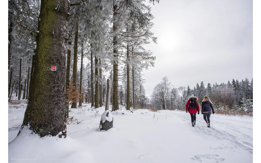 Winterwandern am Rothaarsteig
