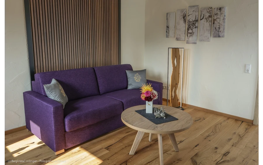 Bergluft - Bergkristall Willingen, Wohnzimmer Ferienwohnung am Rothaarsteig