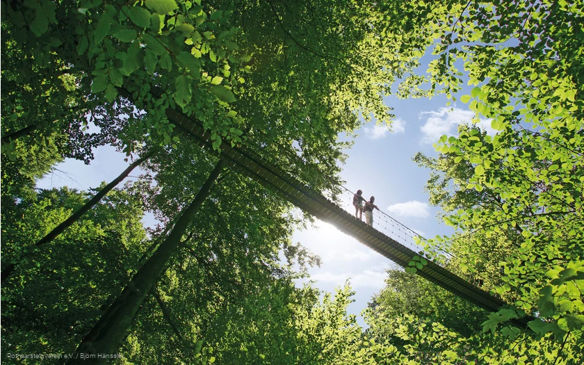 Hängebrücke am Rothaarsteig bei Kühhude