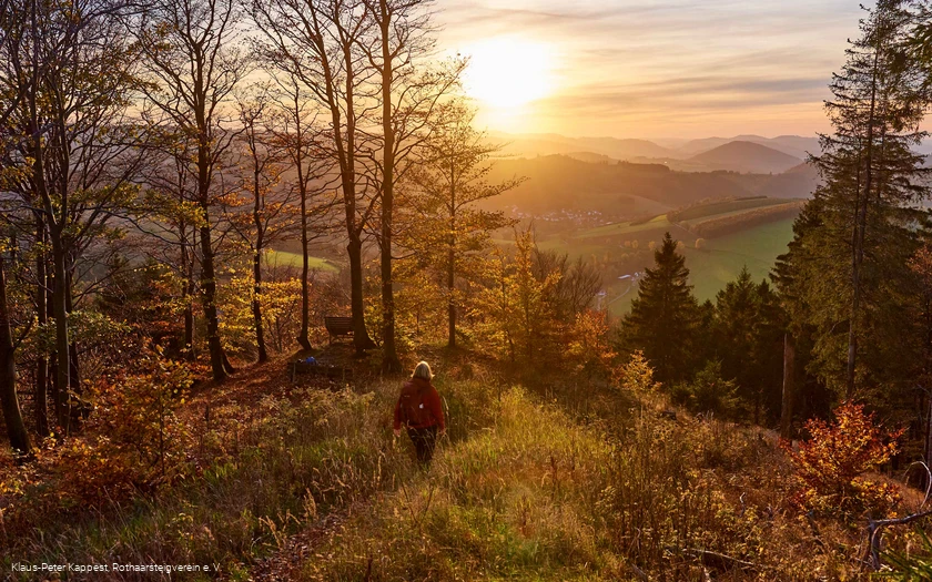 Unterwegs auf dem Kahler Asten-Steig