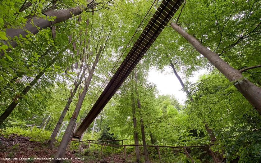 Hängebrücke am Rothaarsteig