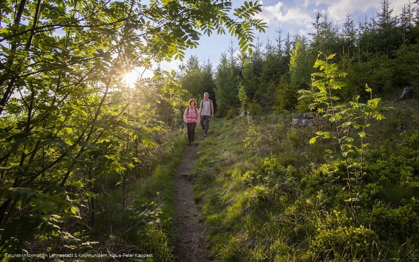 Wandern auf dem Eselspfad