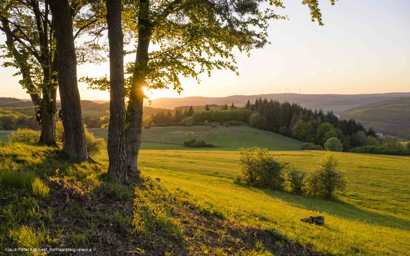 Aussicht vom Kornberg