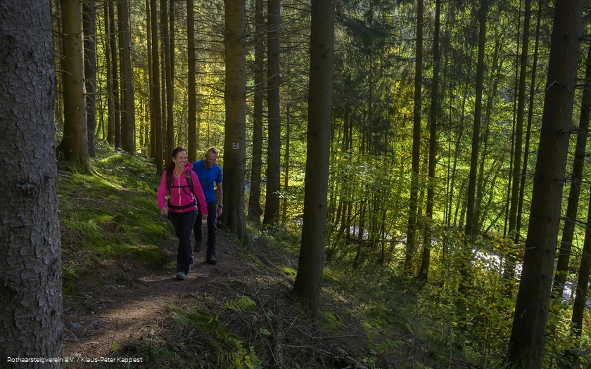 Zwei Personen wandern über die Rothaarsteig-Spur Sorper Panoramapfad