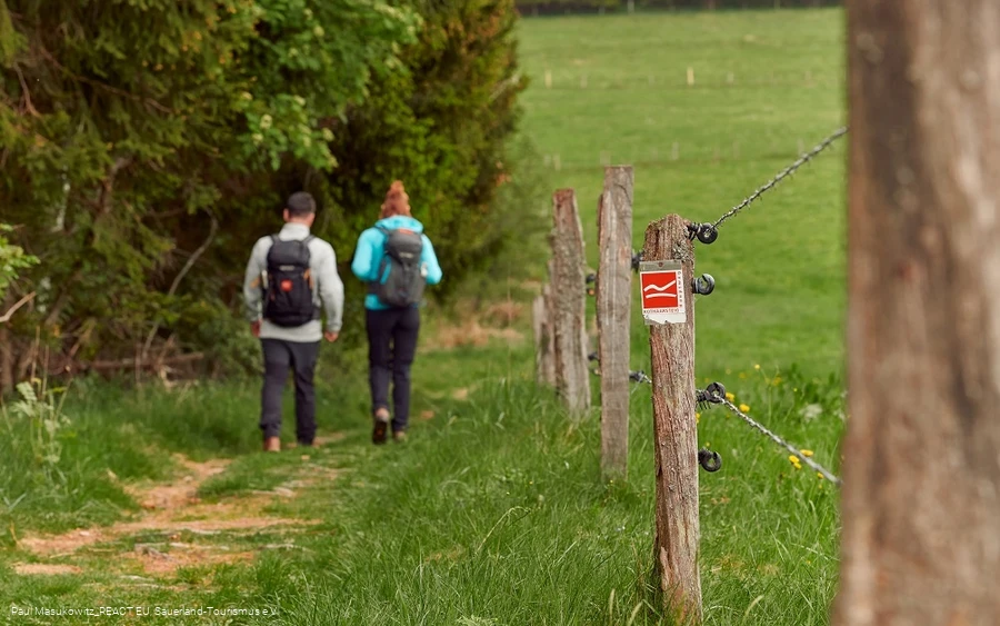 Pfad bei Küstelberg auf dem Rothaarsteig