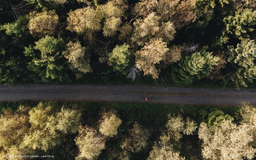 Rothaarsteig nahe der Tiefenrother Höhe