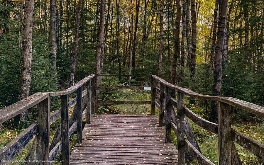 Steg an der Ederquelle auf dem Rothaarsteig