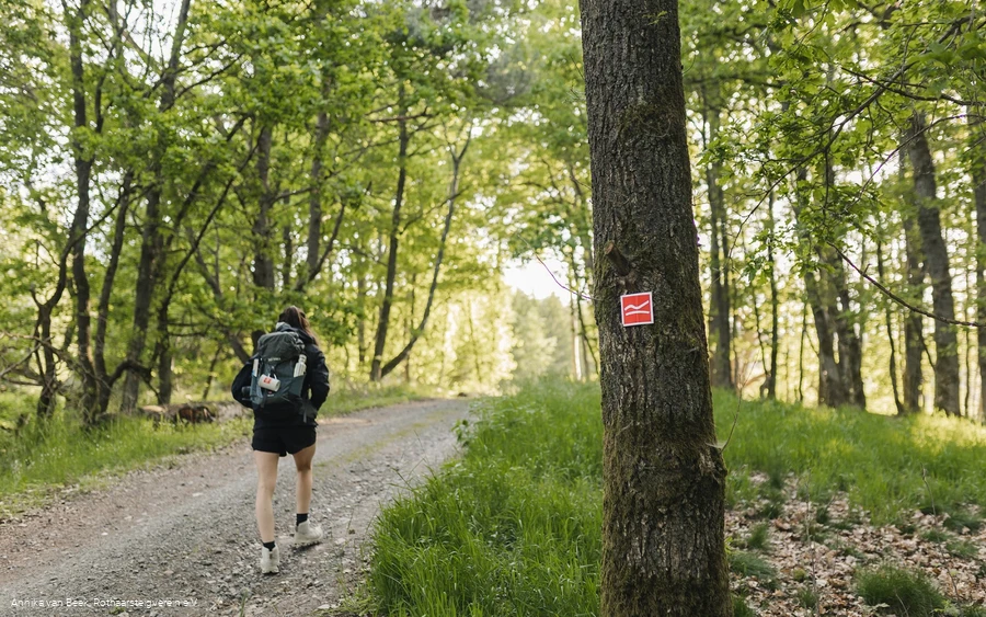 Wanderin auf einem Schotterweg auf dem Rothaarsteig