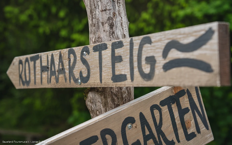 Ein selbstbeschrifteter Wegweiser aus Holz, der zum Rothaarsteig hinweist.