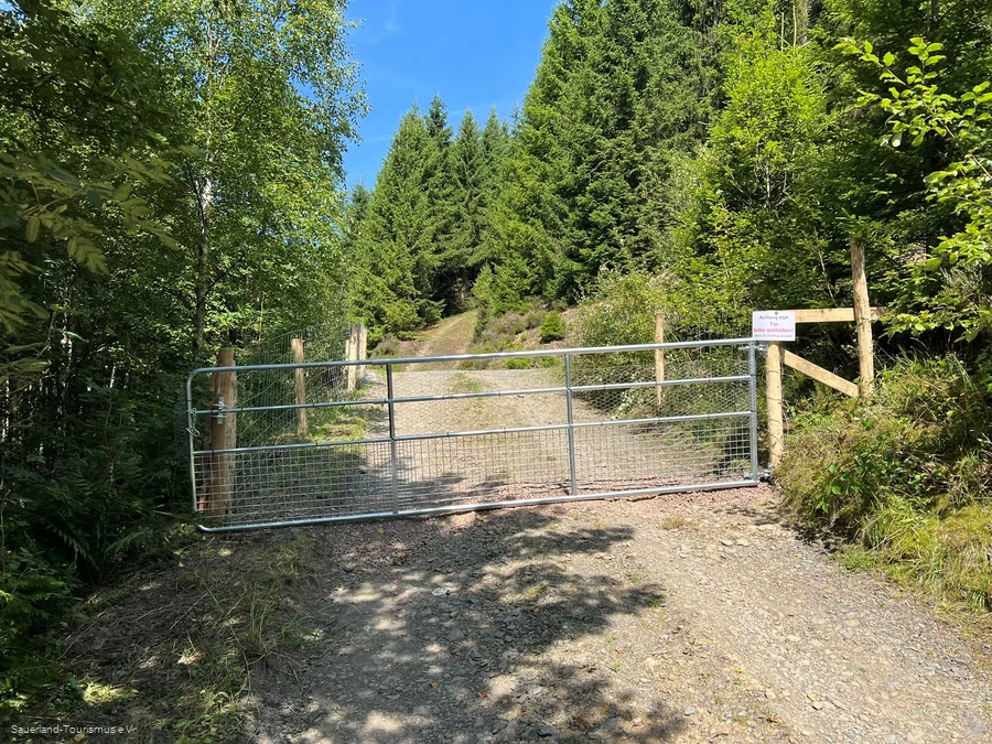 Zaun am Rothaarsteig zur Bek&auml;mpfung der Afrikanischen Schweinepest