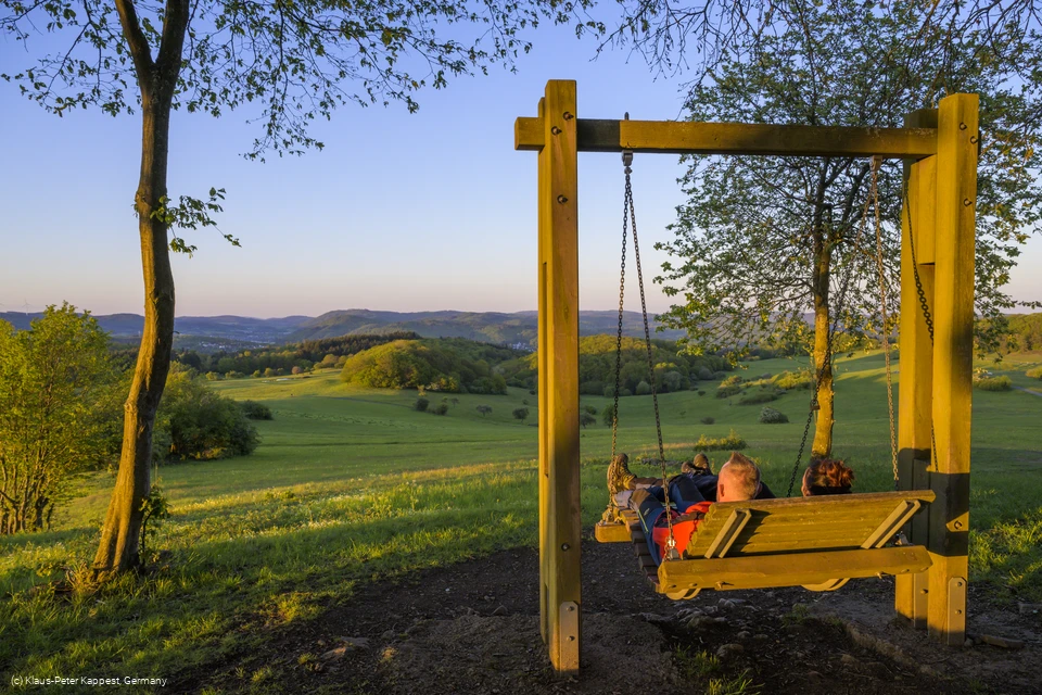 Waldschaukel auf dem Kornberg