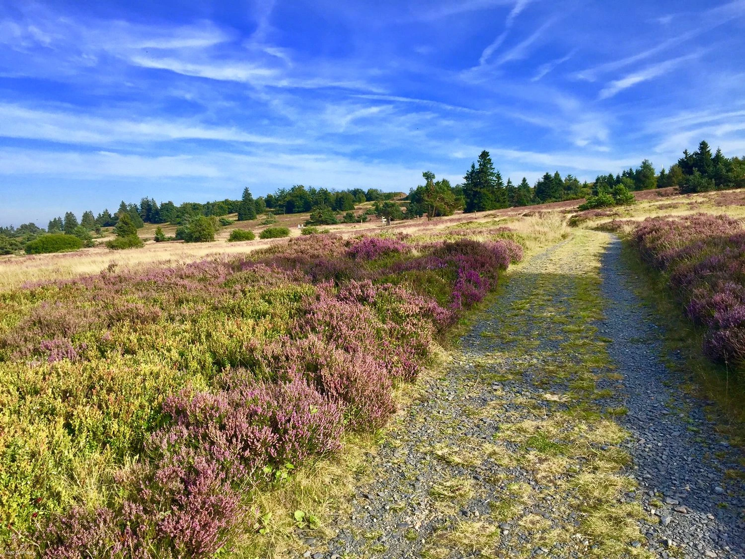 Weg auf dem Kahlen Pön