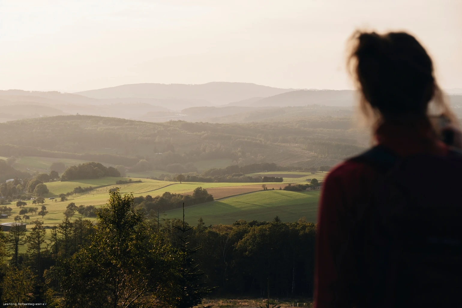 Eine Frau blickt über die grüne, hügelige Landschaft am Rothaarsteig